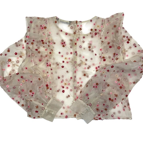 Zara Tops Zara Floral Organza Top Medium Poshmark